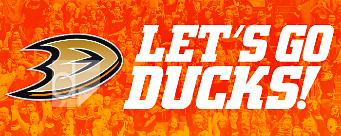 Digital decals printed on vinyl by Dilco for The Anaheim Ducks